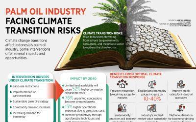 Climate Transition Risks for the Indonesian Palm Oil Industry
