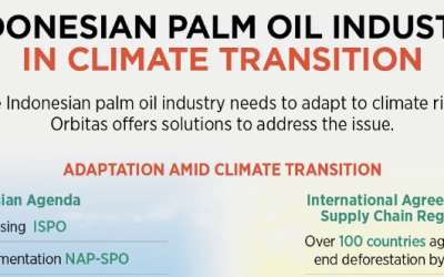 Indonesian Palm Oil Industry in Climate Transition