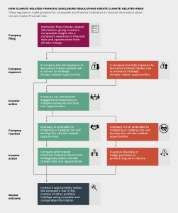 A flowchart describing HOW CLIMATE-RELATED FINANCIAL DISCLOSURE REGULATIONS CREATE CLIMATE-RELATED RISKS