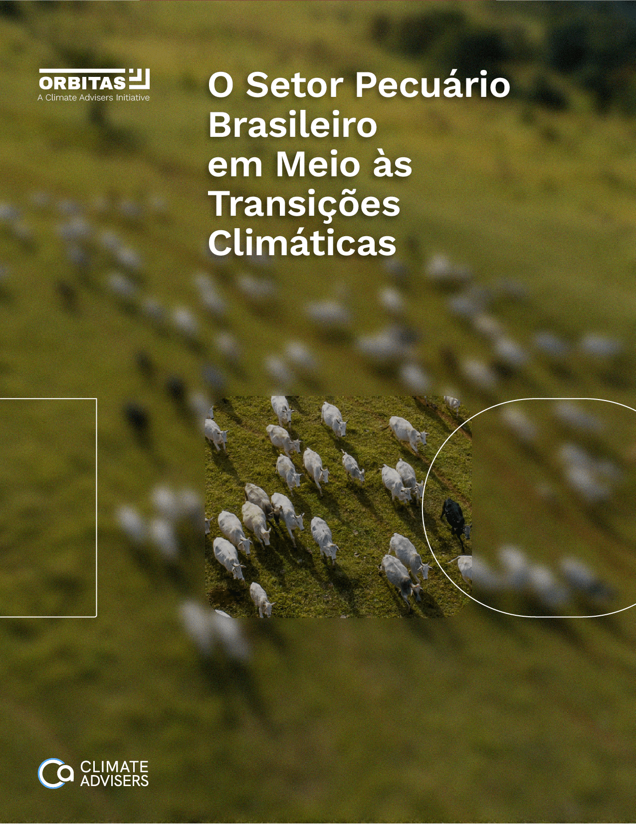 The cover of a climate report titled "Brazil's Cattle Sector Amidsst Climate Transitions."
