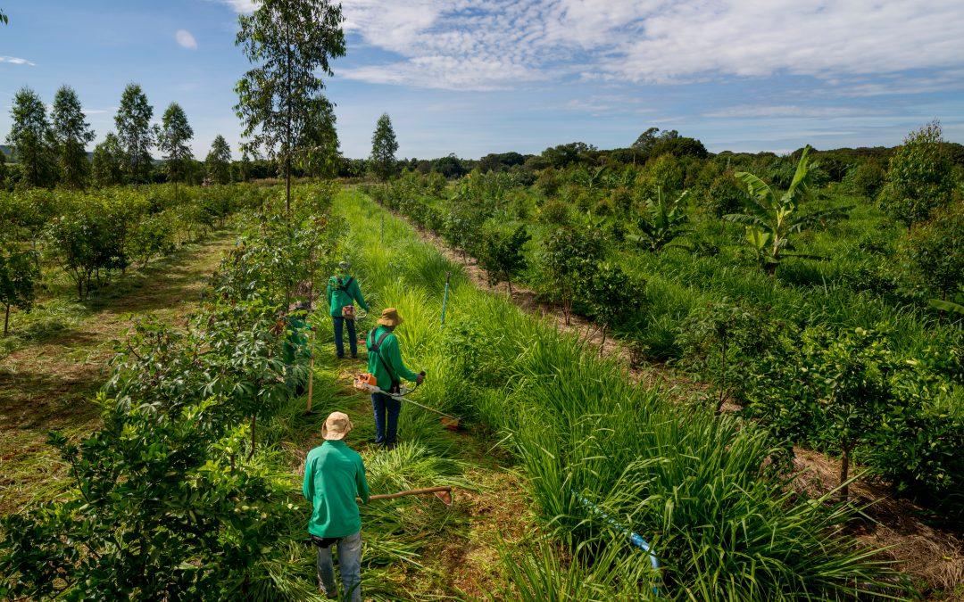 WEBINAR: Navigating climate risks and opportunities for land economy investors and companies